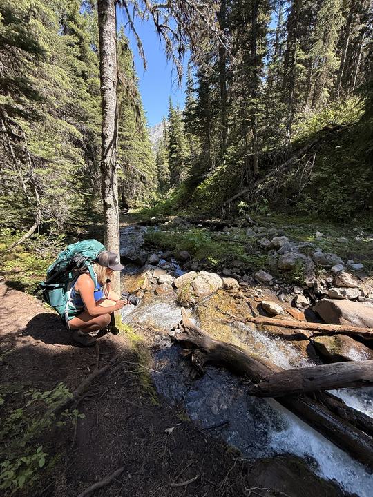 A log crossing over a rushing creek in the forest on the Windfall Lake trail