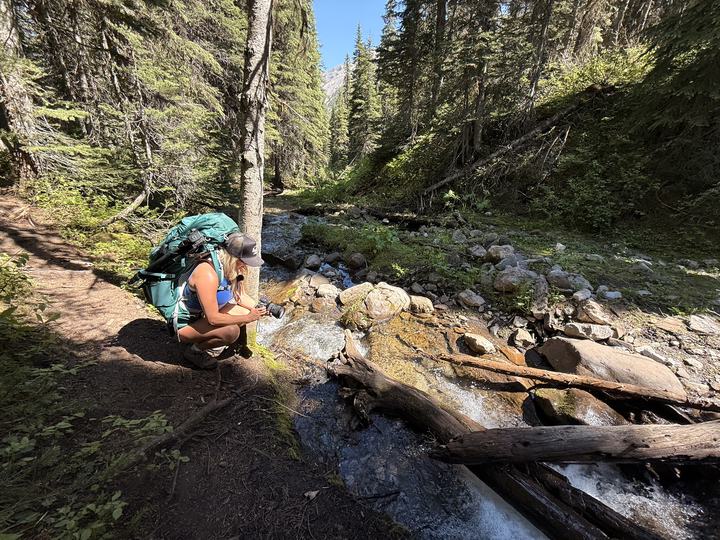 Stacie at a mountain creek on the Windfall Lake trail