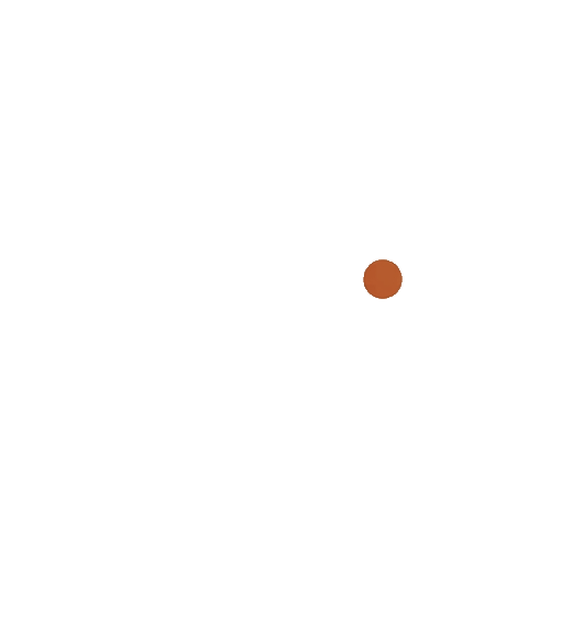 Wild Latitude